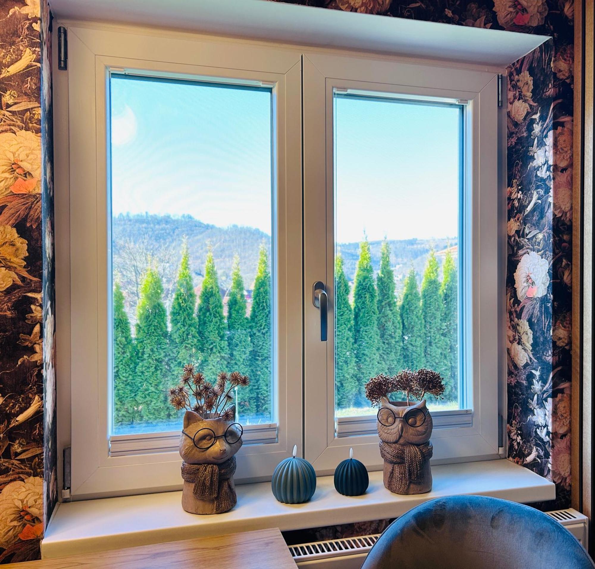 באד הרצבורג Wohnung Goethe'S Bergblick מראה חיצוני תמונה
